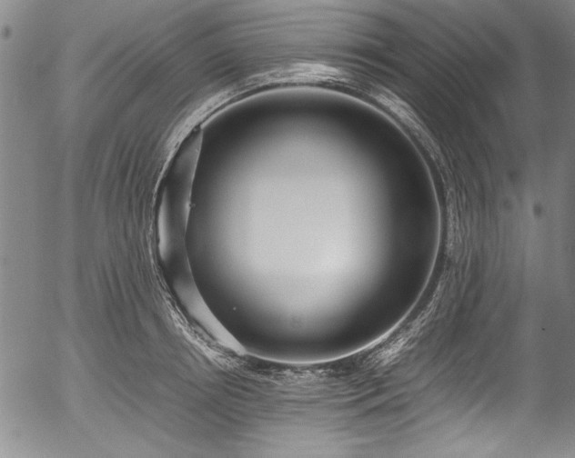 X0000054390850200508011251