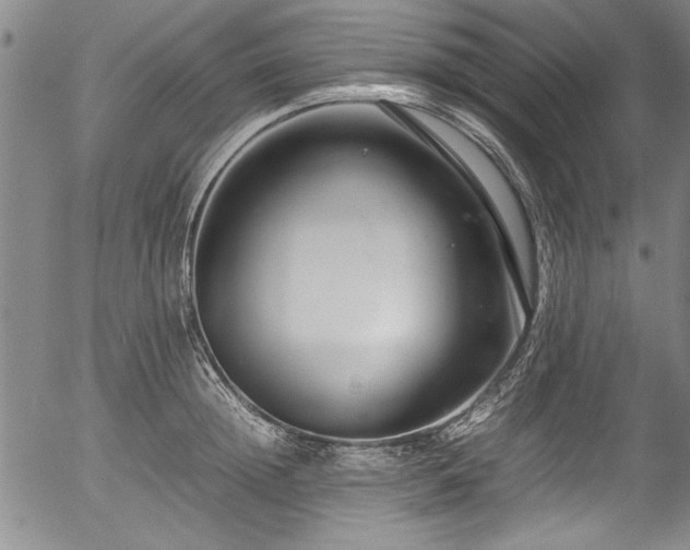 X0000054390852200508011251