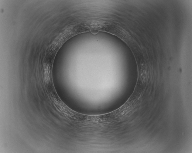 X0000054390866200508011250