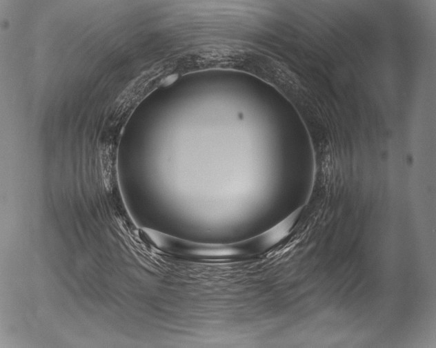 X0000054390868200508011250