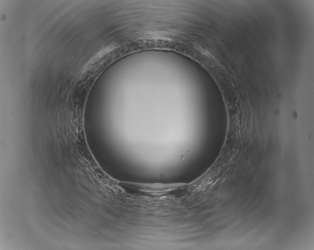 X0000054390870200508011250