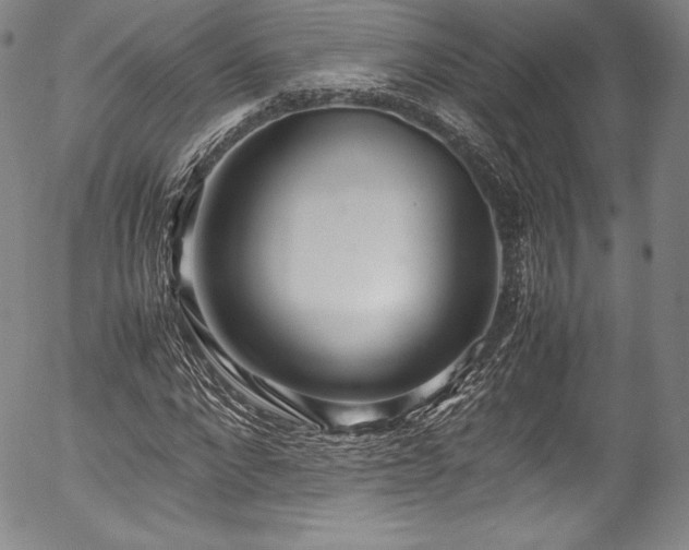 X0000054390872200508011250
