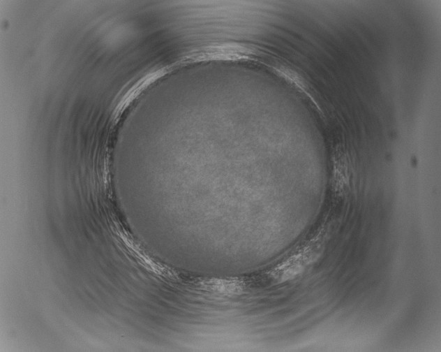 X0000054390874200508011250