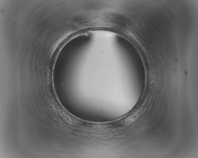 X0000054390875200508011250
