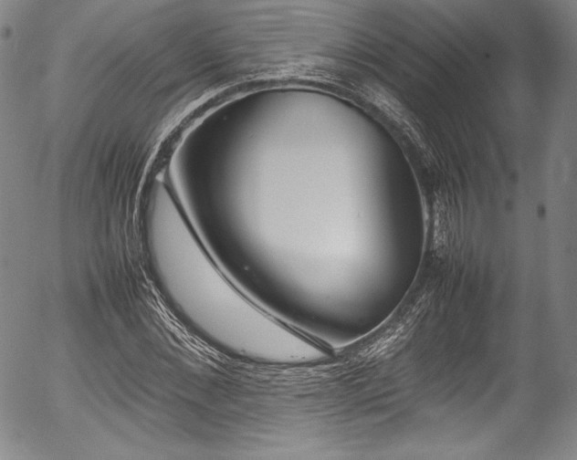 X0000054390876200508011250