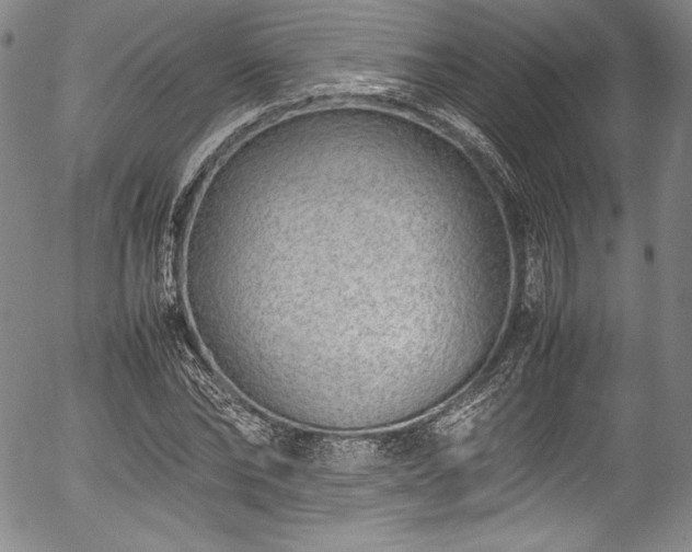 X0000054390878200508011250