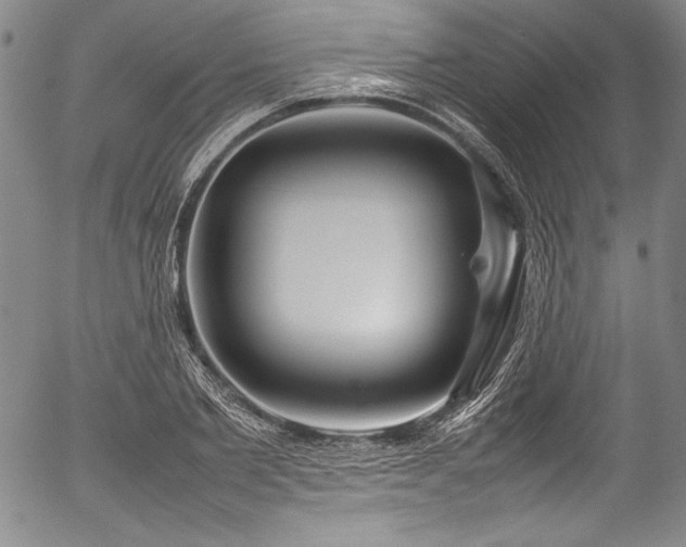 X0000054390885200508011250