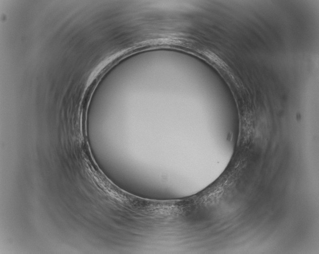 X0000054390886200508011250