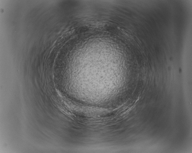 X0000054390913200508011249