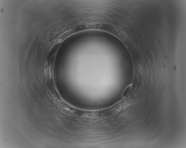 X0000054390914200508011249