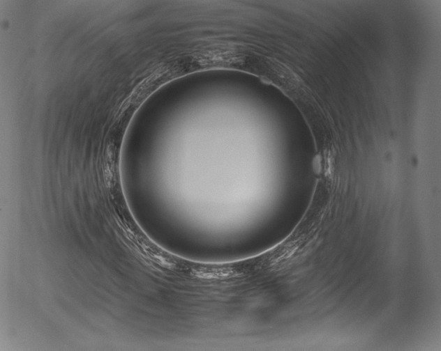 X0000054390915200508011249