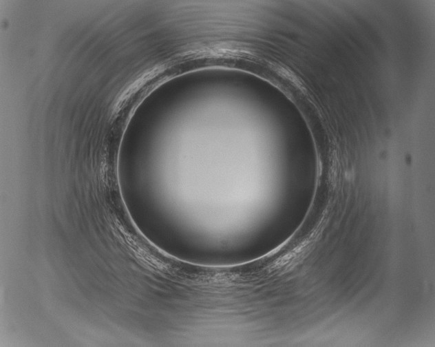 X0000054390922200508011249