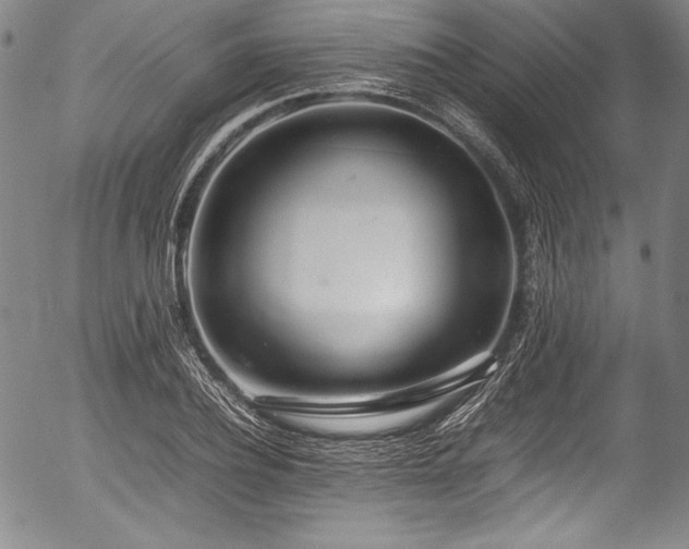 X0000054390932200508011249
