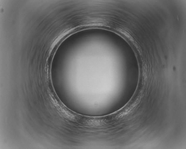 X0000054390933200508011249