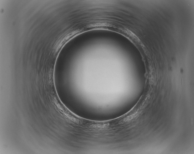 X0000054390937200508011249