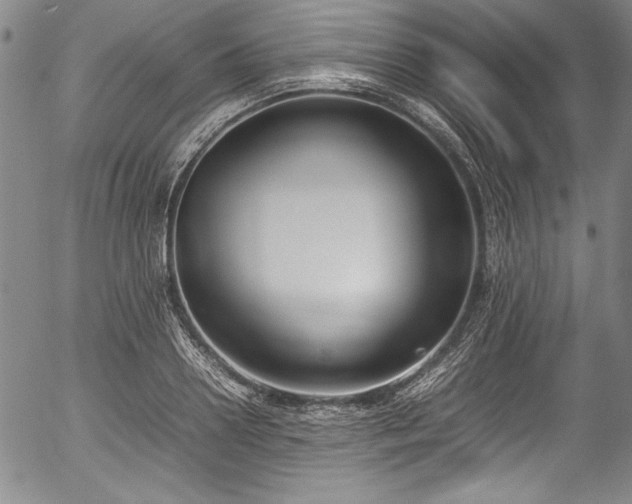X0000054390938200508011249