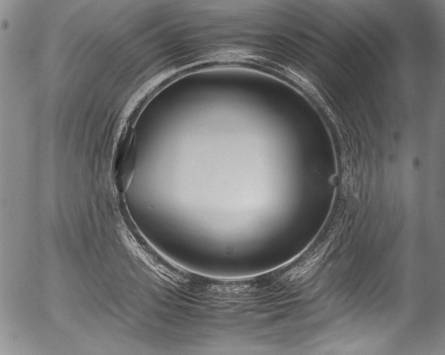 X0000054390939200508011249