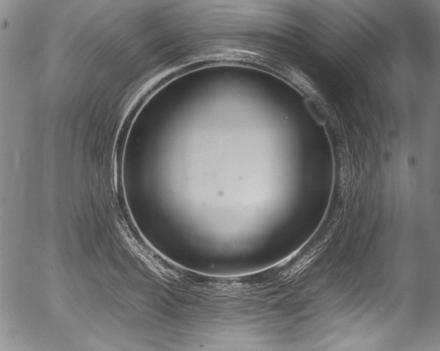 X0000054390940200508011249