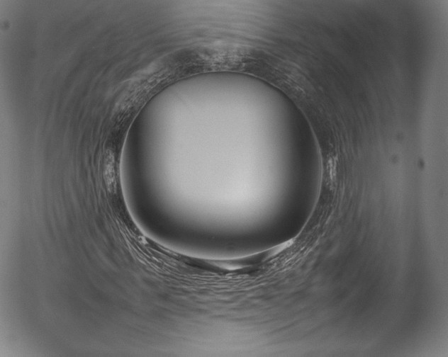 X0000054390963200508011249