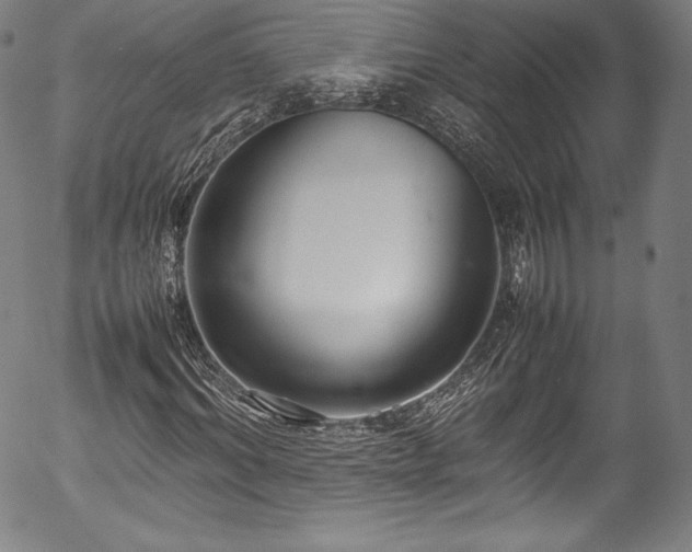 X0000054390964200508011249