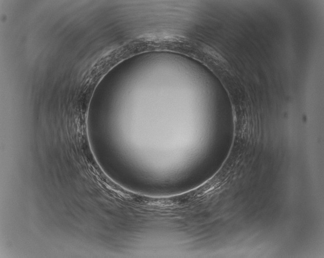 X0000054390966200508011249
