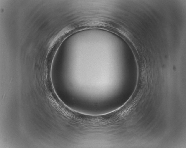 X0000054390979200508011248