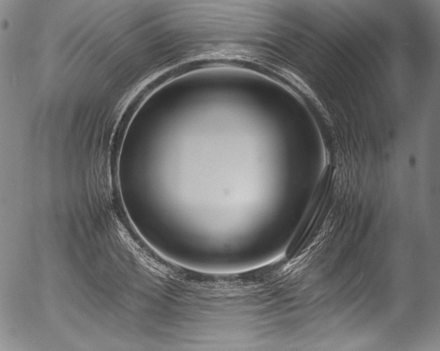 X0000054390980200508011248