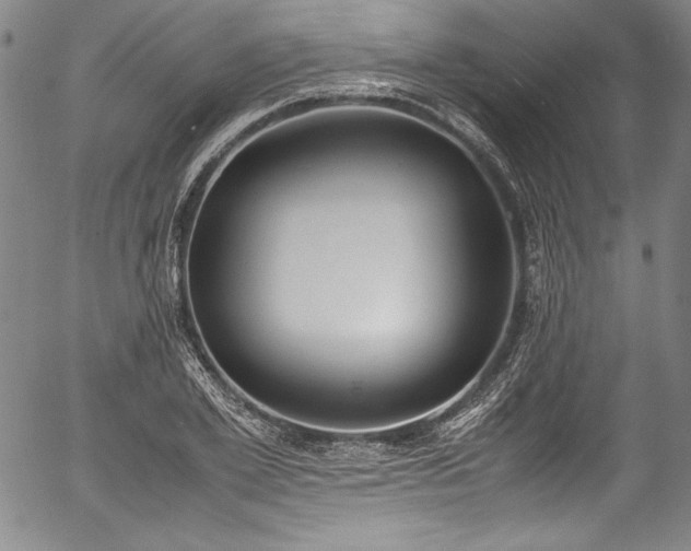 X0000054390981200508011248