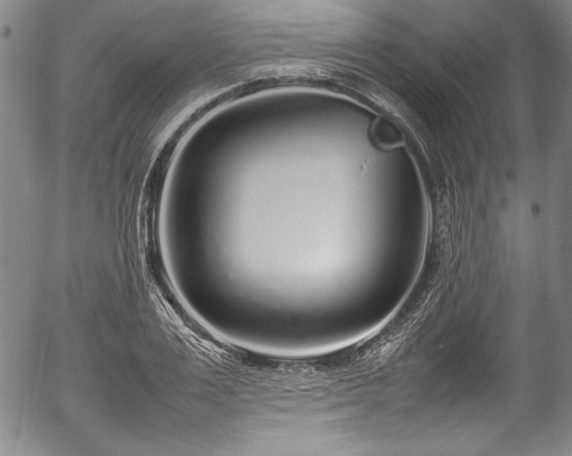X0000054390983200508011248
