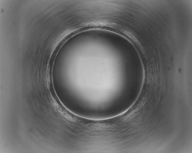 X0000054390984200508011248