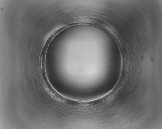 X0000054390987200508011248