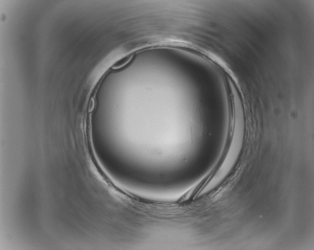 X0000054391007200508011248