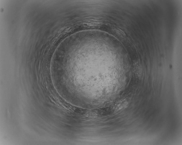 X0000054391009200508011247