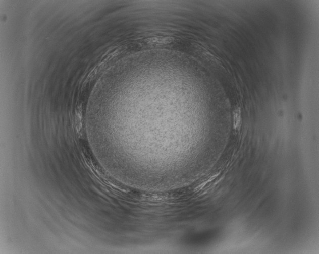 X0000054391011200508011247