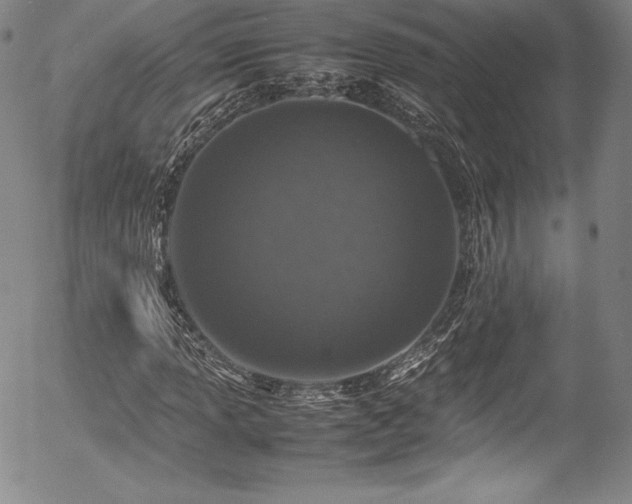X0000054391013200508011247