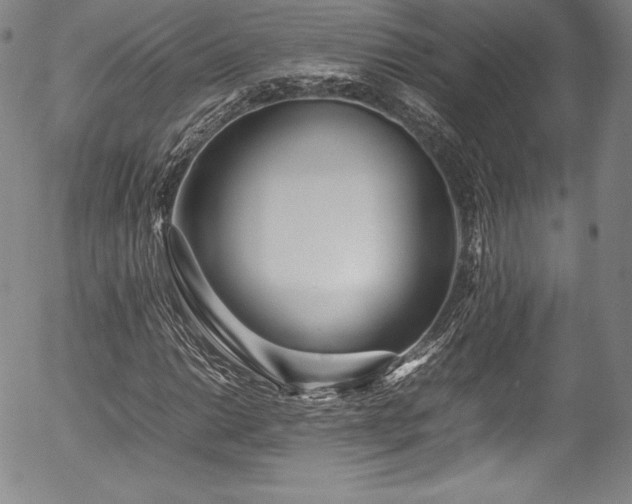 X0000054391014200508011247