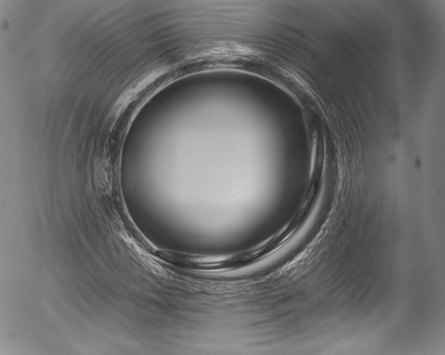 X0000054391018200508011247