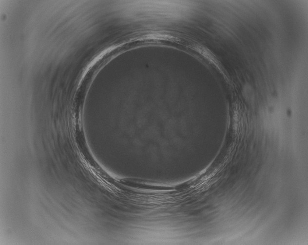 X0000054391024200508011247