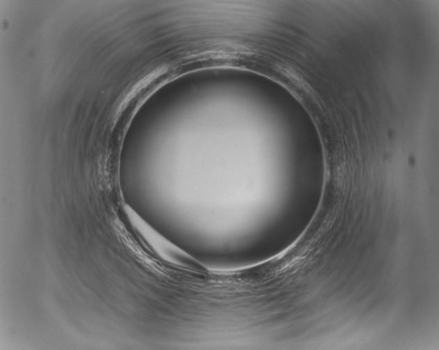 X0000054391026200508011247