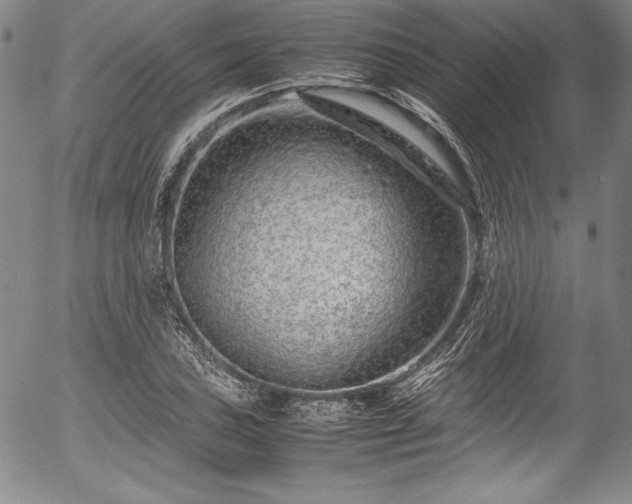 X0000054391027200508011247