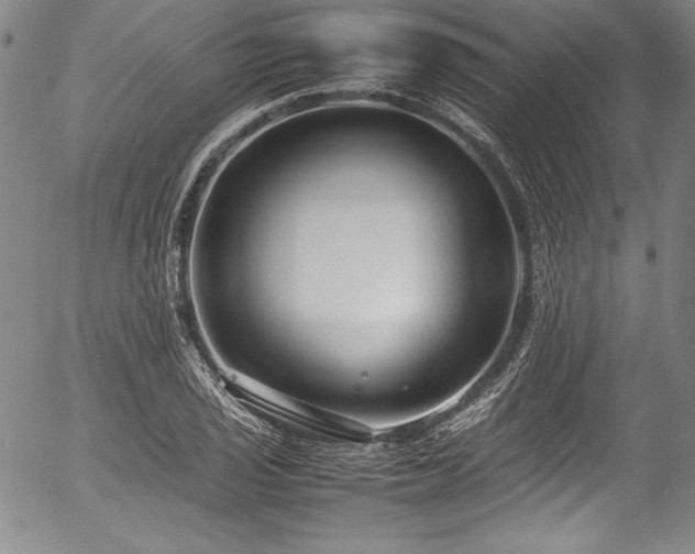 X0000054391029200508011247