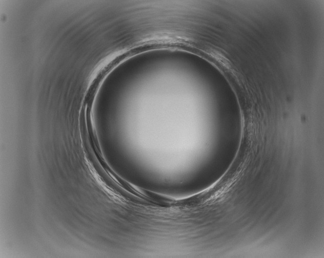 X0000054391030200508011247