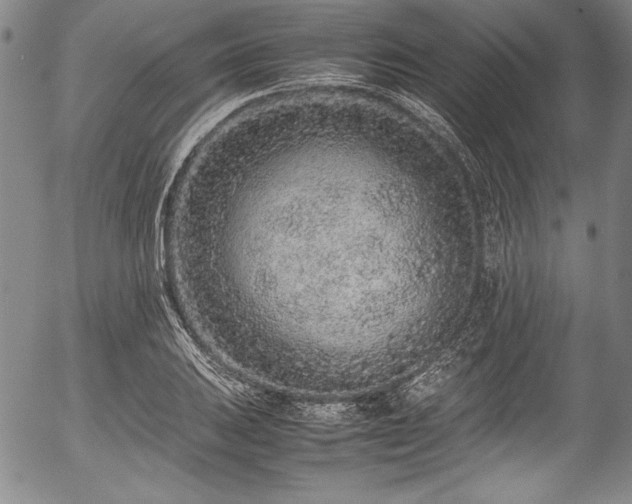 X0000054391031200508011247