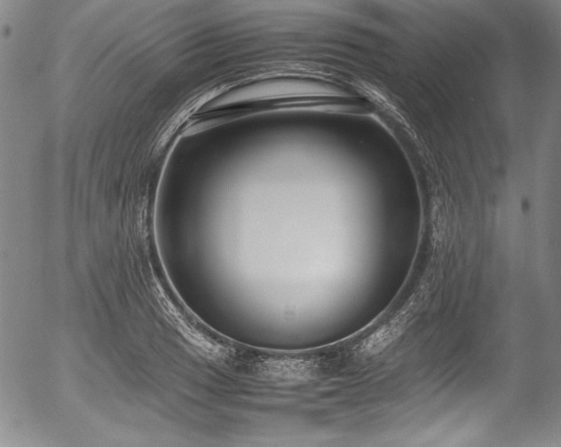 X0000054391033200508011248