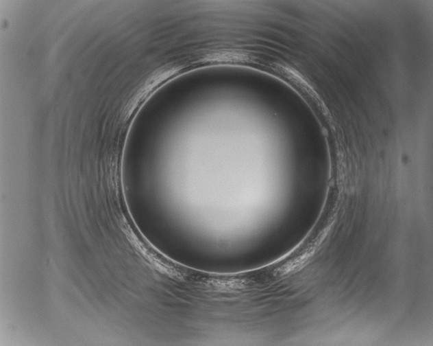 X0000054391041200508011248
