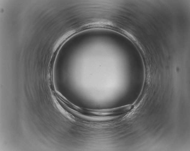 X0000054391042200508011248