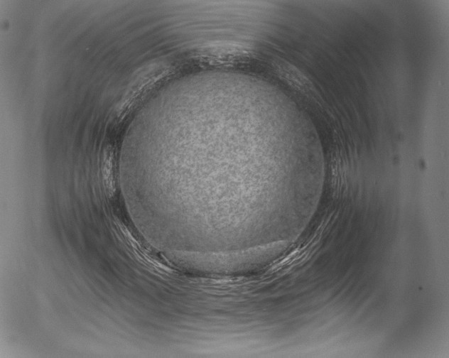 X0000054391060200508011247