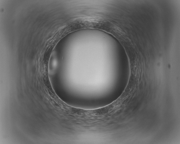 X0000054391061200508011247