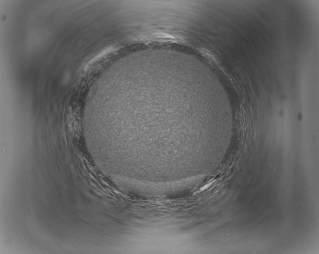 X0000054391063200508011247