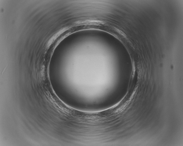 X0000054391066200508011247
